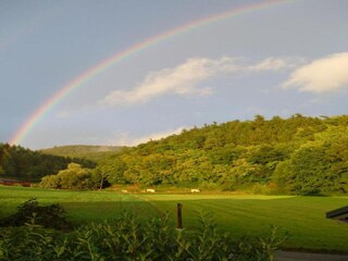 Vakantiehuis Frankenau Omgeving 43