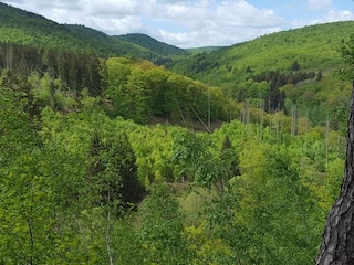 Vakantiehuis Frankenau Omgeving 46