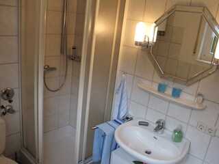 Holiday apartment St. Märgen Bathroom 10