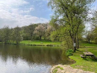 Apartment Frankenau Umgebung 32