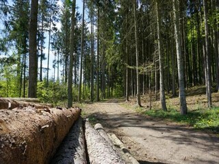 Vakantiehuis Kirchheim in Hessen Omgeving 13
