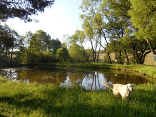 Casa de vacaciones Schwarzenborn (Knüll) Entorno 21