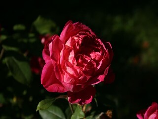 Casa per le vacanze Schwarzenborn (Knüll) Registrazione all'aperto 4