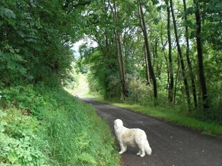 Vakantiehuis Schwarzenborn (Knüll) Omgeving 23