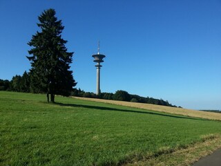 Ferienhaus Schwarzenborn (Knüll) Umgebung 21
