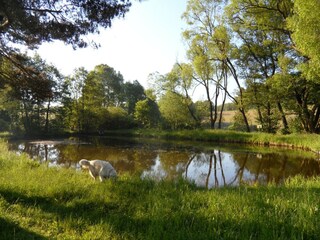 Casa per le vacanze Schwarzenborn (Knüll)  24