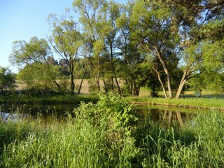 Casa per le vacanze Schwarzenborn (Knüll)  32