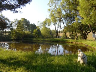Casa per le vacanze Schwarzenborn (Knüll)  27