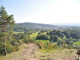 Appartement Steinbach/Thüringen Environnement 26