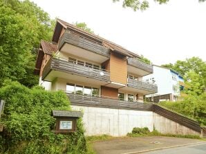 Appartement confortable avec jardin situé à Harz - Saint-Andréasberg - image1