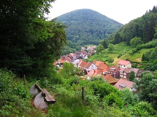 Ferienhaus Zorge Umgebung 25
