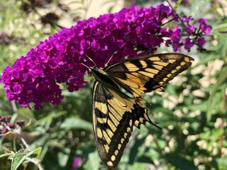 Casa per le vacanze Zorge Ambiente 33