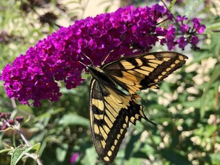 Maison de vacances Zorge Environnement 33