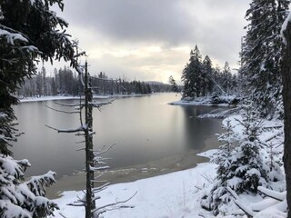 Vakantiehuis Zorge Omgeving 25