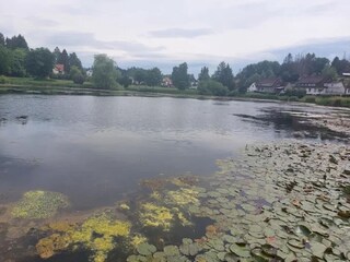 Appartamento Bad Grund Ambiente 30