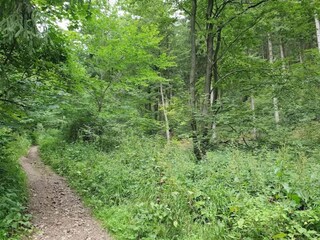 Appartement Bad Grund Omgeving 22