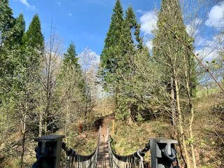 Appartement Bad Grund Environnement 28