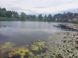 Appartamento Bad Grund Ambiente 28