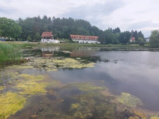 Appartement Bad Grund Environnement 23