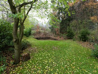 Apartment Bad Grund Outdoor Recording 4