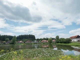 Appartement Bad Grund Omgeving 24