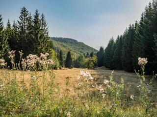 Appartement Höxter Environnement 21