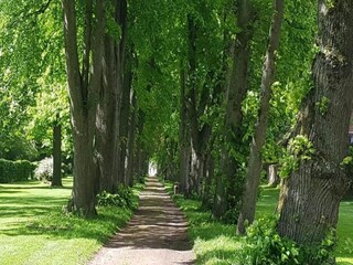 Appartement Höxter Environnement 18