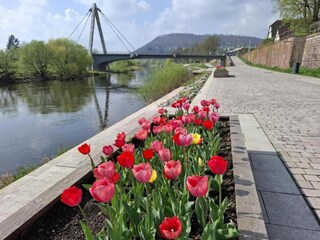 Appartement Höxter Environnement 26