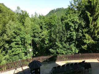 Apartment Bad Harzburg Außenaufnahme 16