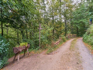 Vakantiehuis Bad Harzburg Omgeving 37