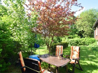 Apartment Hohegeiß Außenaufnahme 8