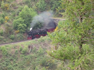 Apartment Hohegeiß Umgebung 35