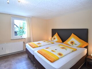 Apartamento Hohegeiß Características 20