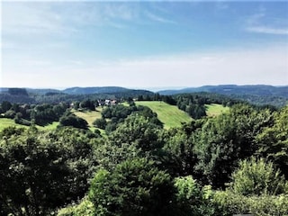 Apartment Hohegeiß Umgebung 23