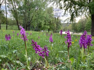 Apartamento Hohegeiß Entorno 36