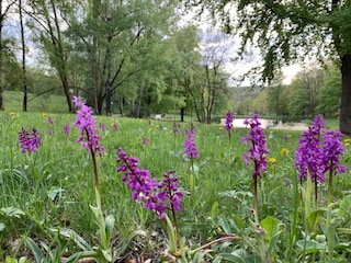 Apartment Hohegeiß Umgebung 36