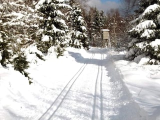 Apartment Hohegeiß Umgebung 27