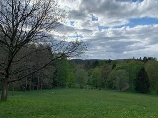 Appartamento Hohegeiß Ambiente 27