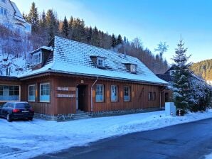 Apartment Ferienwohnung in Wildemann Harz in der Nähe des Skigebietes - Wildemann - image1