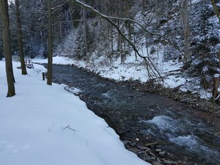 Apartamento Wildemann Entorno 36