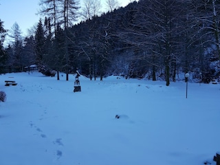 Apartment Wildemann Umgebung 40