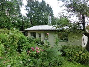 Mooi vakantiehuis in Harz met een omheinde tuin en terras - Darlingerode - image1