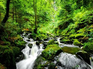 Maison de vacances Darlingerode Environnement 22