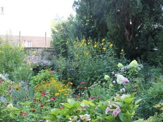 Maison de vacances Darlingerode Environnement 44