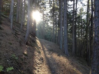 Ferienhaus Darlingerode Umgebung 46
