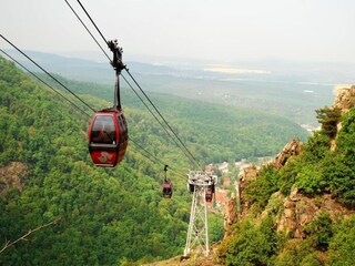 Ferienhaus Darlingerode Umgebung 29