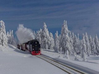 Maison de vacances Darlingerode Environnement 22