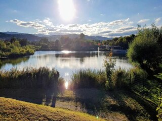 Casa per le vacanze Darlingerode Ambiente 25
