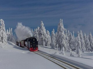 Maison de vacances Darlingerode Environnement 42