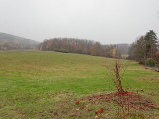 Bungalow Ilsenburg  36